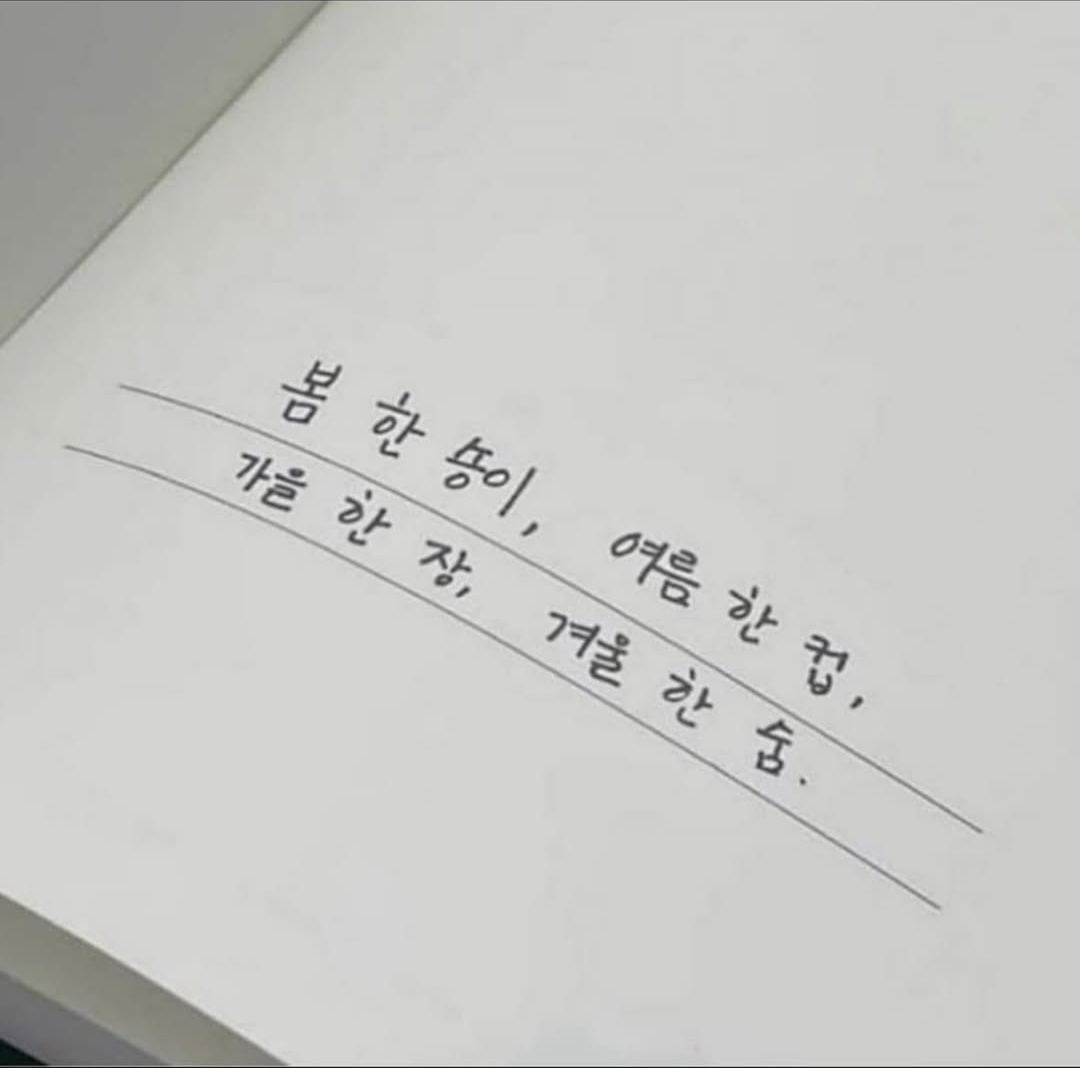 [정보/소식] 아이유에게 사계절을 간단하게 설명하라했는데 | 인스티즈