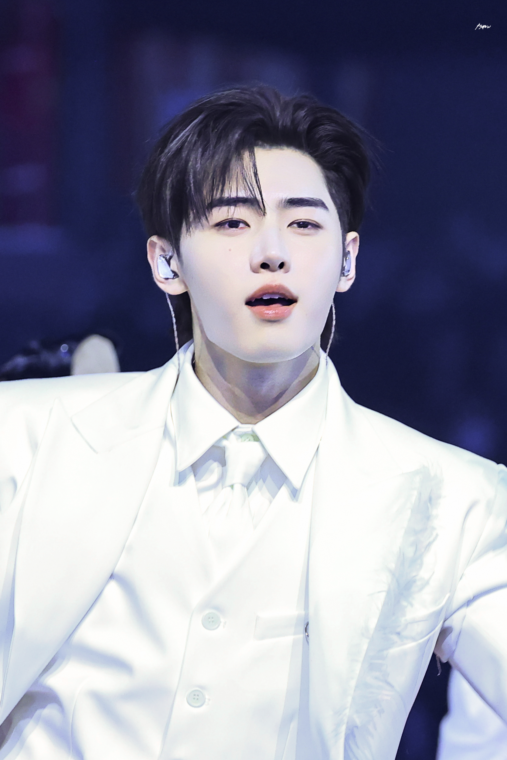 [잡담] 오늘 내 강아디들 짱잘ㅎㅎㅎ ㅈㅇ 엔하이픈 댕이즈 | 인스티즈