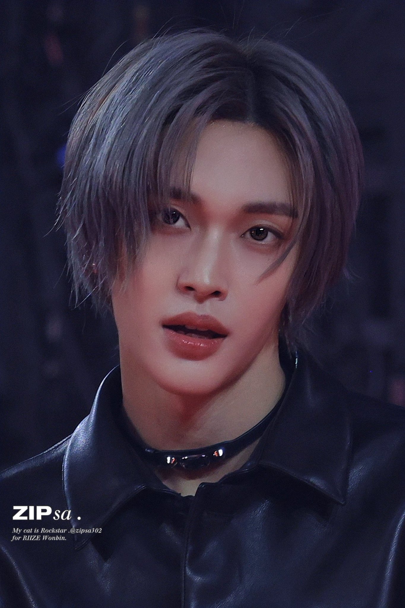 [잡담] 원빈 집사 홈마님 가요대전 사진 또 찢었다 | 인스티즈