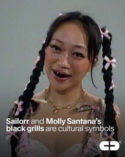 [잡담] 이빨에 그릴 끼고 다니면 어떨까 | 인스티즈