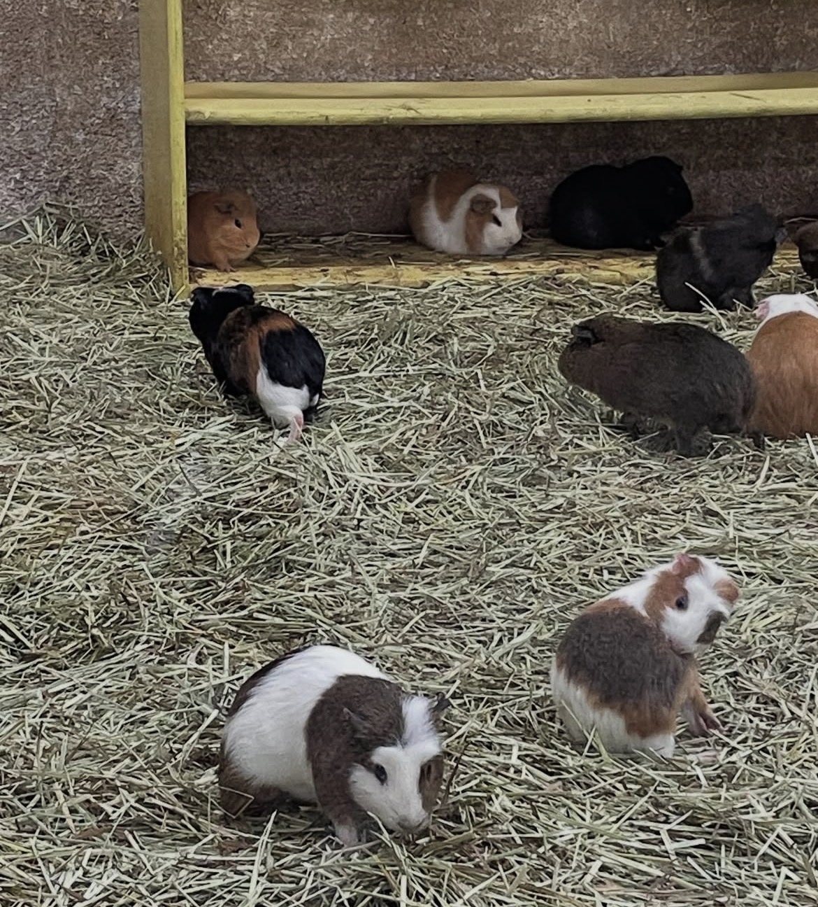 [잡담] 기니즈(하루아 사쿠야 원희 레이)보고 생각난 사진 있어 | 인스티즈