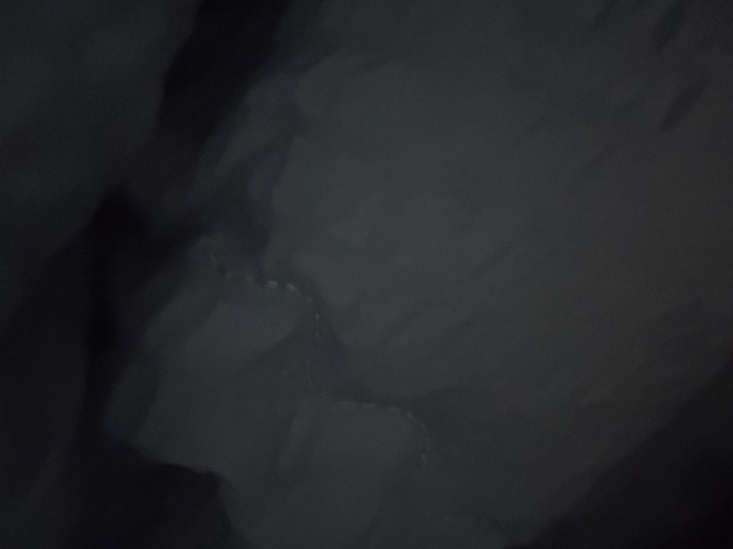 [잡담] 누워있는 내가 승자으하하 | 인스티즈