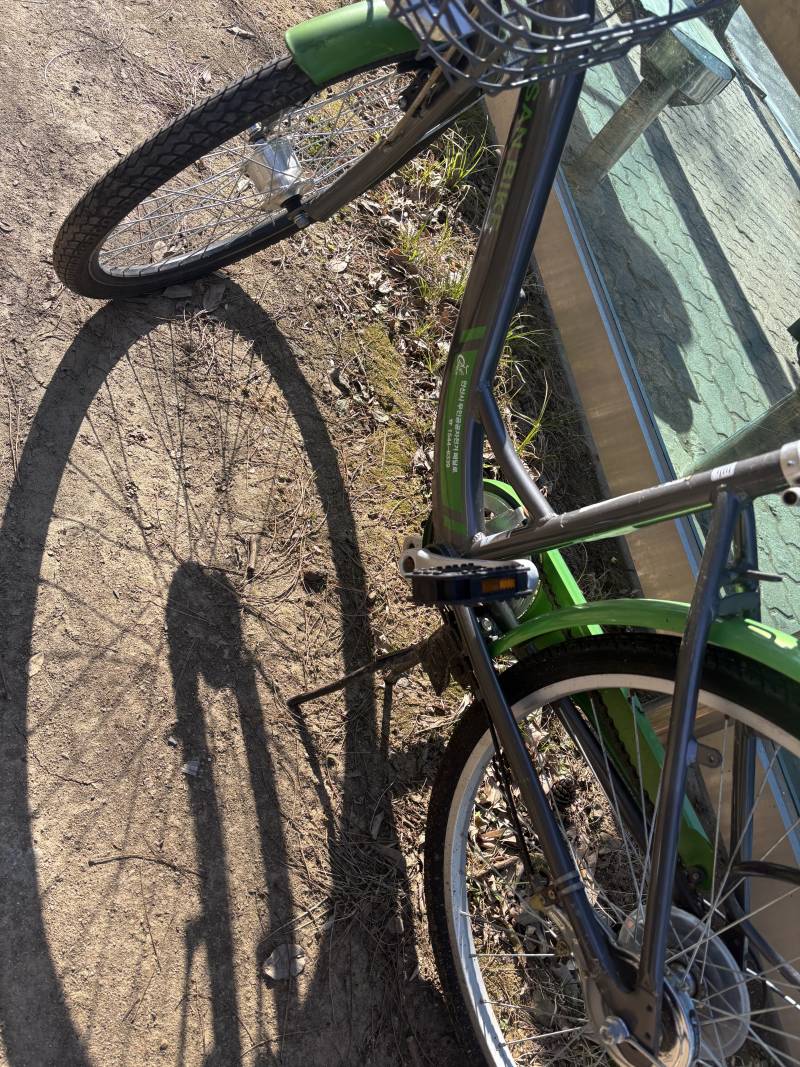 [잡담] 이자전거 서비스종료되지않음? | 인스티즈