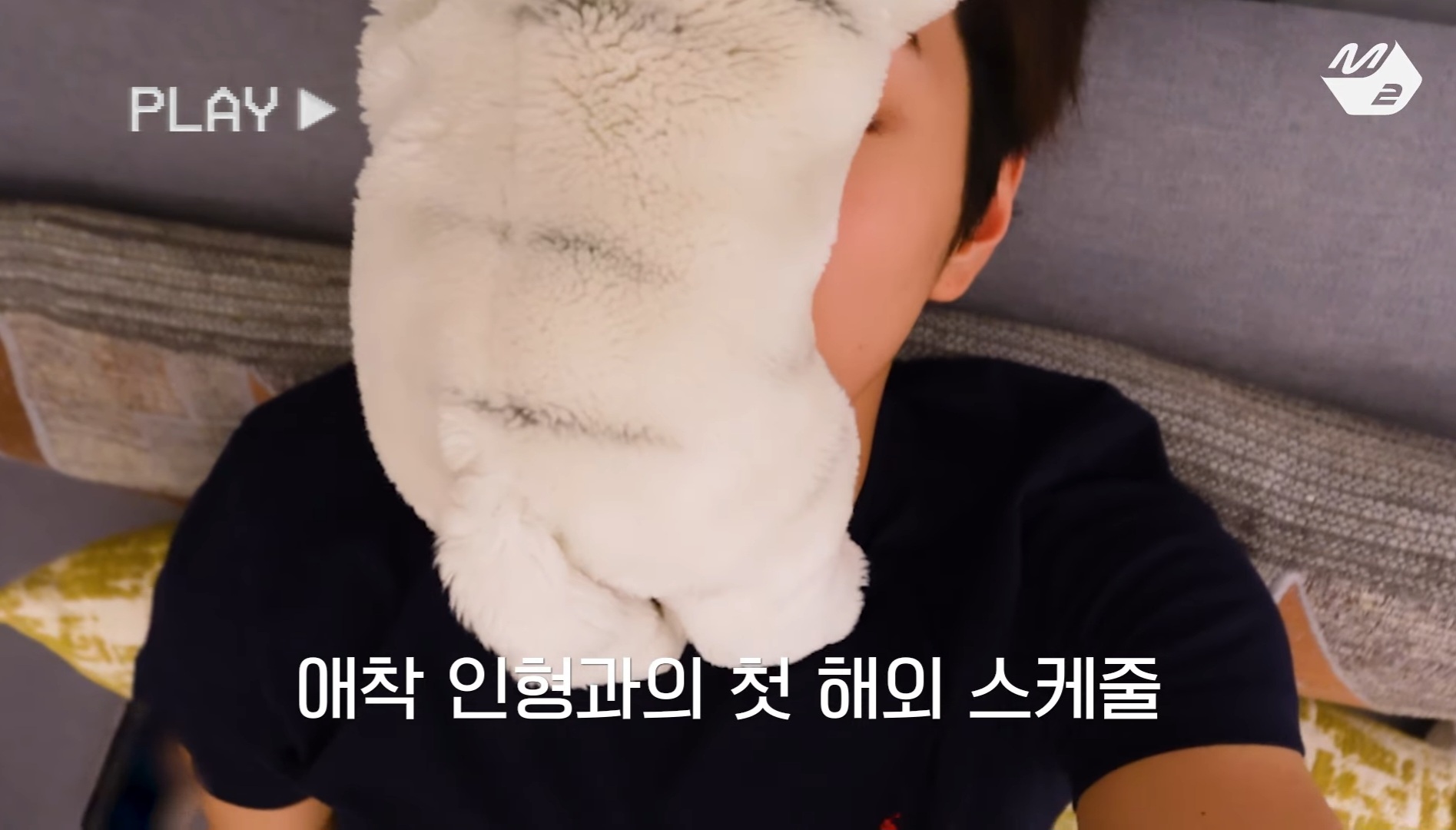 [잡담] 코르티스 건호 애착인형 소개 | 인스티즈