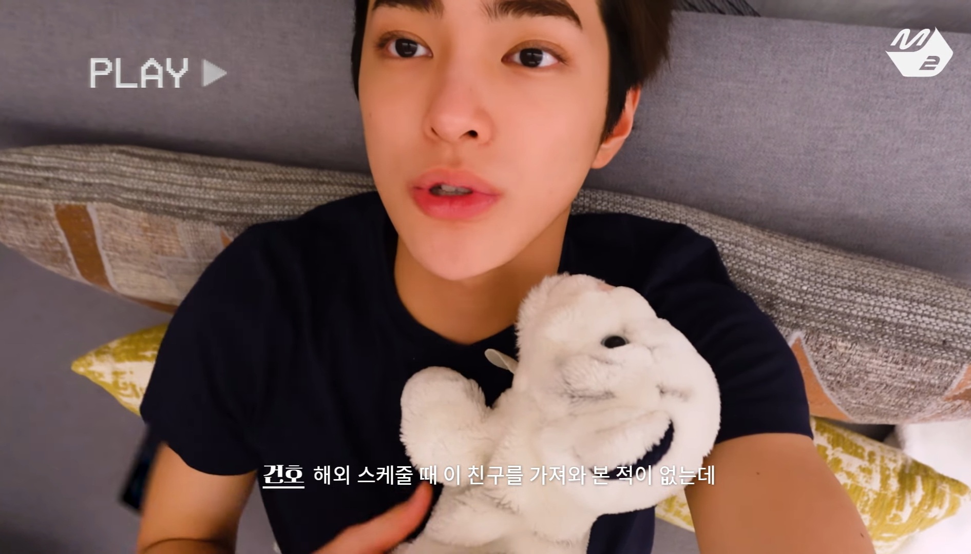 [잡담] 코르티스 건호 애착인형 소개 | 인스티즈