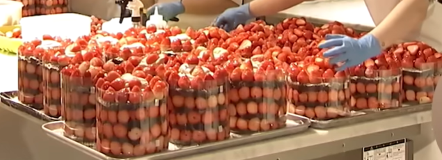 [잡담] 성심당 딸기 시루 진짜 미쳤어,,,,,,,,,,,,,,,,,,,, | 인스티즈