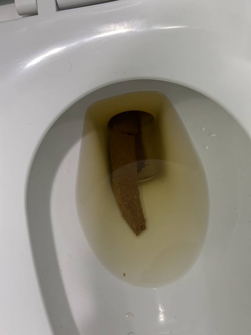 [잡담] 오랜만에 개깔끔똥 쌌다 (ㅎㅇㅈㅇ) | 인스티즈