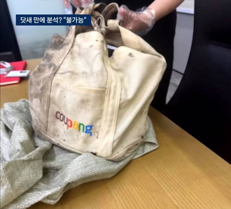 🚨쿠팡 잠수부가 노트북 건져올리는 영상..🚨 | 인스티즈