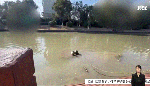 🚨쿠팡 잠수부가 노트북 건져올리는 영상..🚨 | 인스티즈