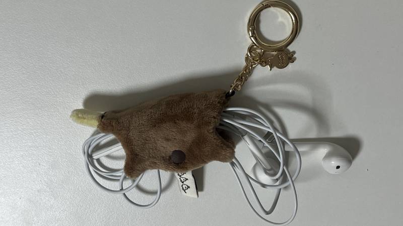 [잡담] 아 겁나 귀여워 미치겟어 어떡해? | 인스티즈