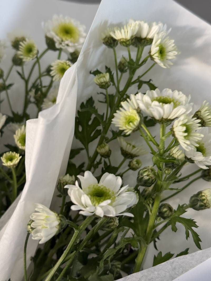 [잡담] 오늘 찍은 사진 볼래? | 인스티즈