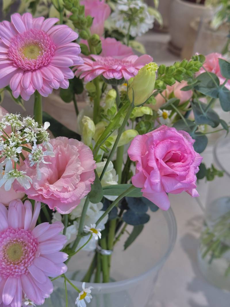 [잡담] 오늘 찍은 사진 볼래? | 인스티즈