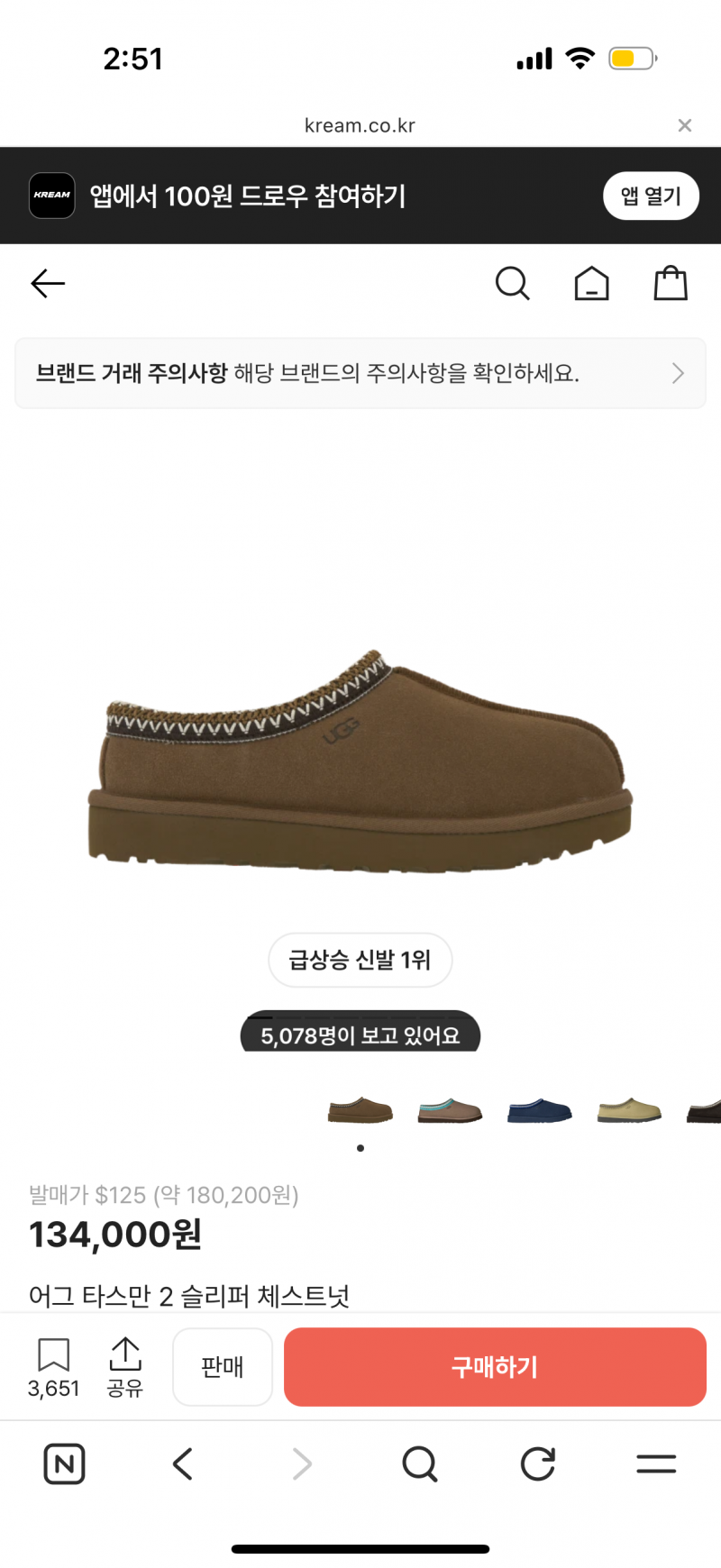 [잡담] 어그 타스만 무슨색 살까??🙋‍♀️ | 인스티즈