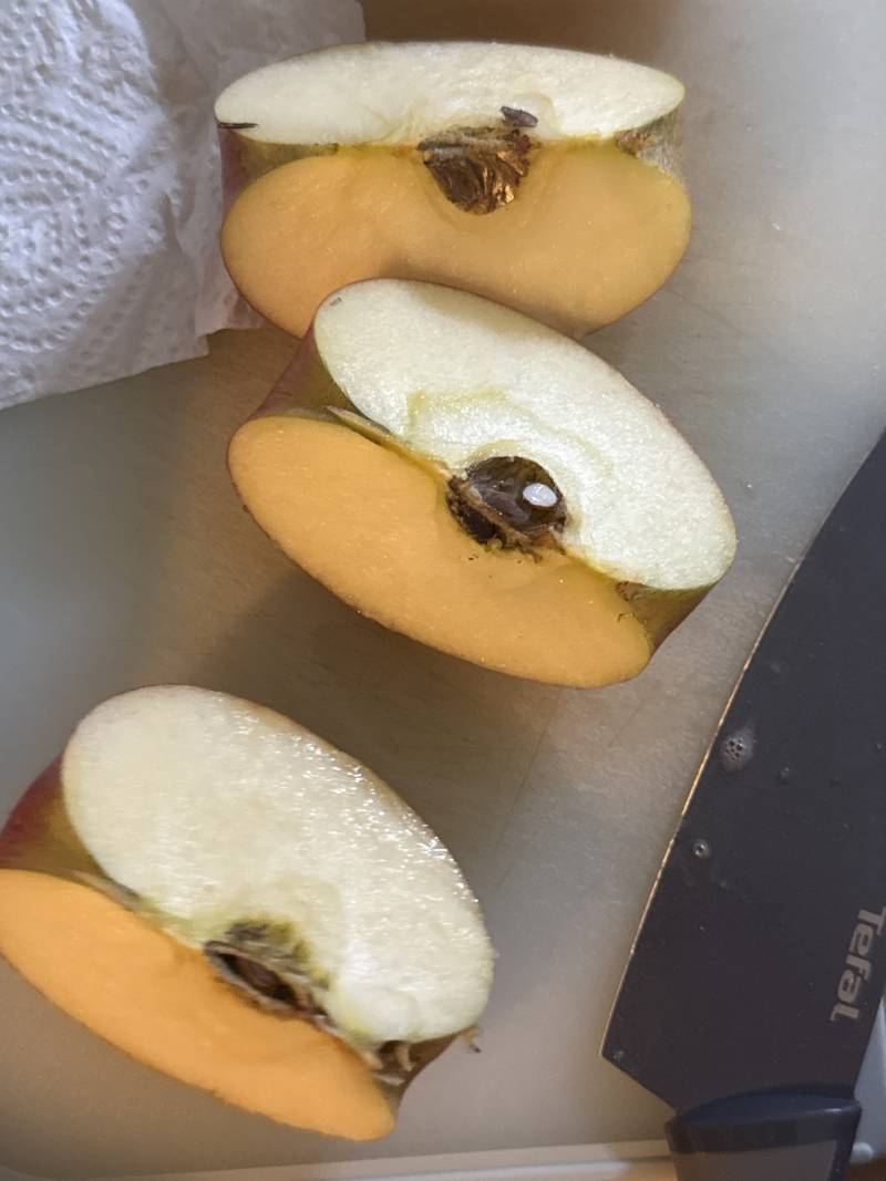 [잡담] 얘들아 이거 사과먹지마 ?? 곰팡이핀거맞지ㅜ | 인스티즈