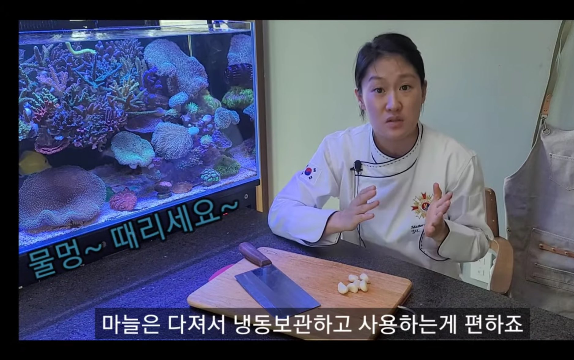 [잡담] 중식마녀 유튜브 웃겨서 눈물나 | 인스티즈