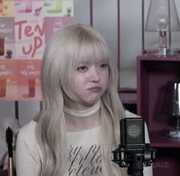 비둘기 욕 듣고 실시간으로 상처받는 엔믹스 릴리 ㅋㅋㅋㅋㅋㅋ | 인스티즈