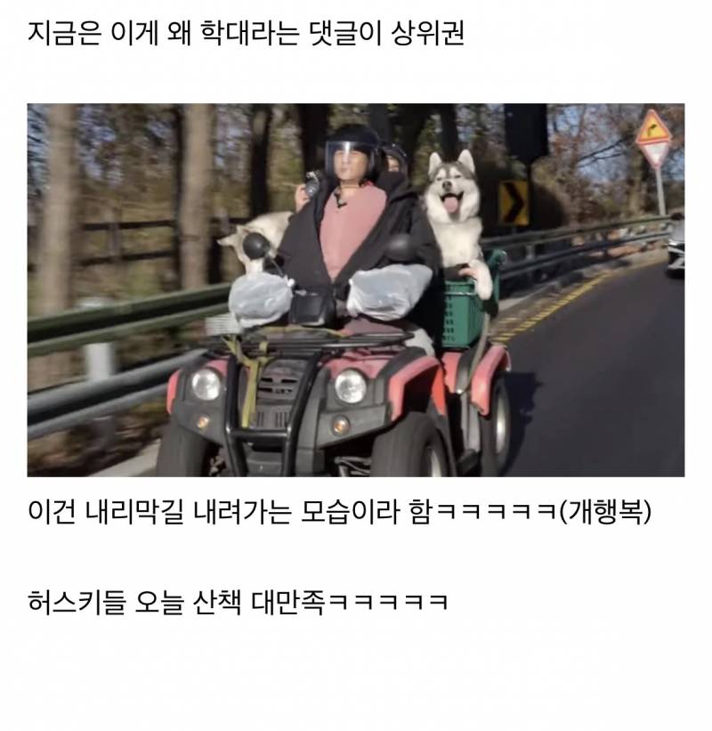 현재 허스키 학대라고 말나오다가 역풍맞은 영상..JPG | 인스티즈