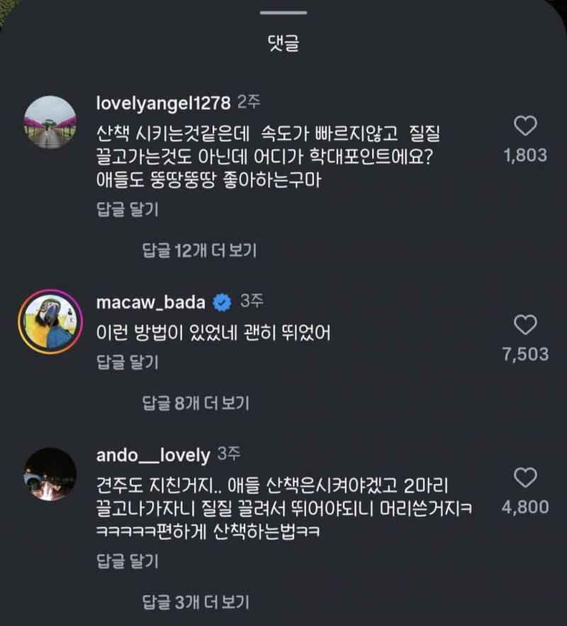 현재 허스키 학대라고 말나오다가 역풍맞은 영상..JPG | 인스티즈