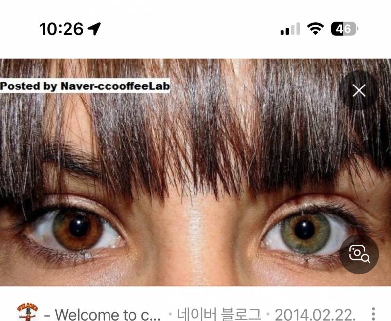 [잡담] 한국사람인데 눈동자 이런 사람 봤음 냥예뻣어 | 인스티즈