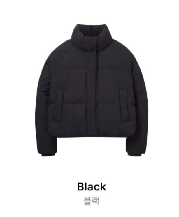 [잡담] 옷잘알 얘드라 패딩 제방 셋중에 하나만 골라줘ㅠㅠ | 인스티즈