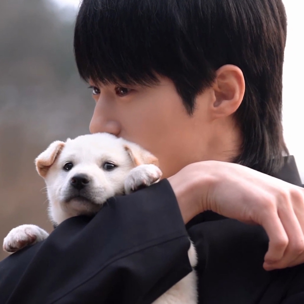 [잡담] 변우석) 강아지+강아지 조합이란 | 인스티즈