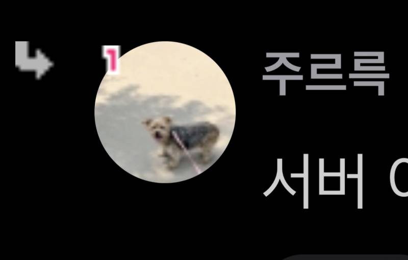 [잡담] 주르륵 프사 강아지 키우는 강아지인가 | 인스티즈