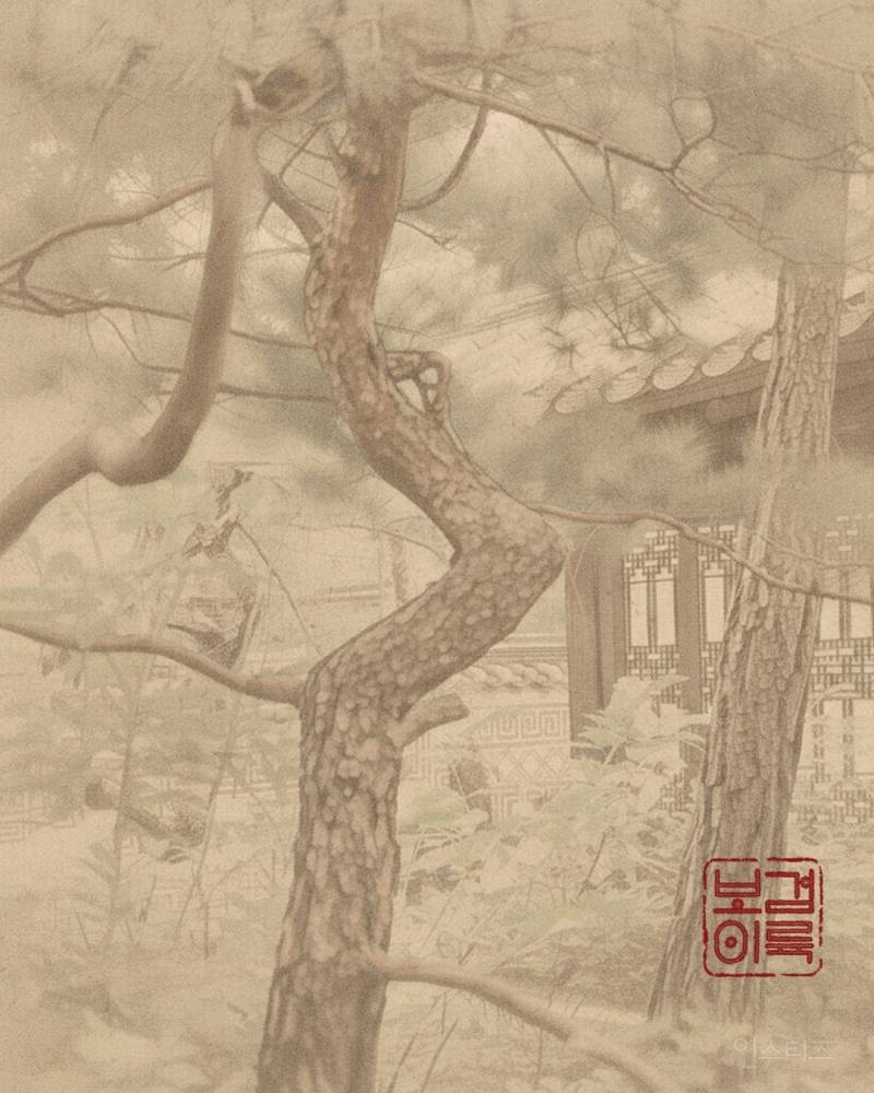 박보검 2026 시즌 그리팅 <보검이륙> 6차 티저 이미지 | 인스티즈