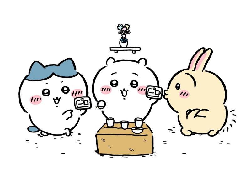 [잡담] 치이 4급도 갈 수 있는거지? ✊🏻 | 인스티즈