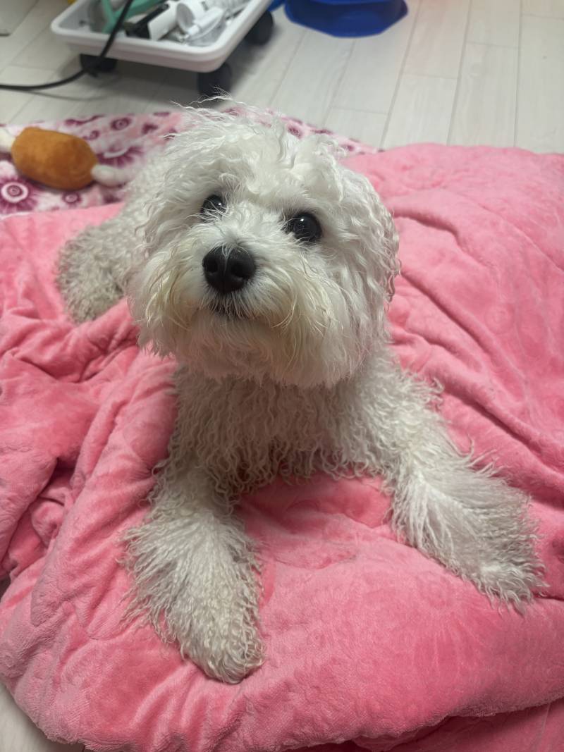 [잡담] 이 두사진을 보고 느끼는점이 뭐냐? | 인스티즈