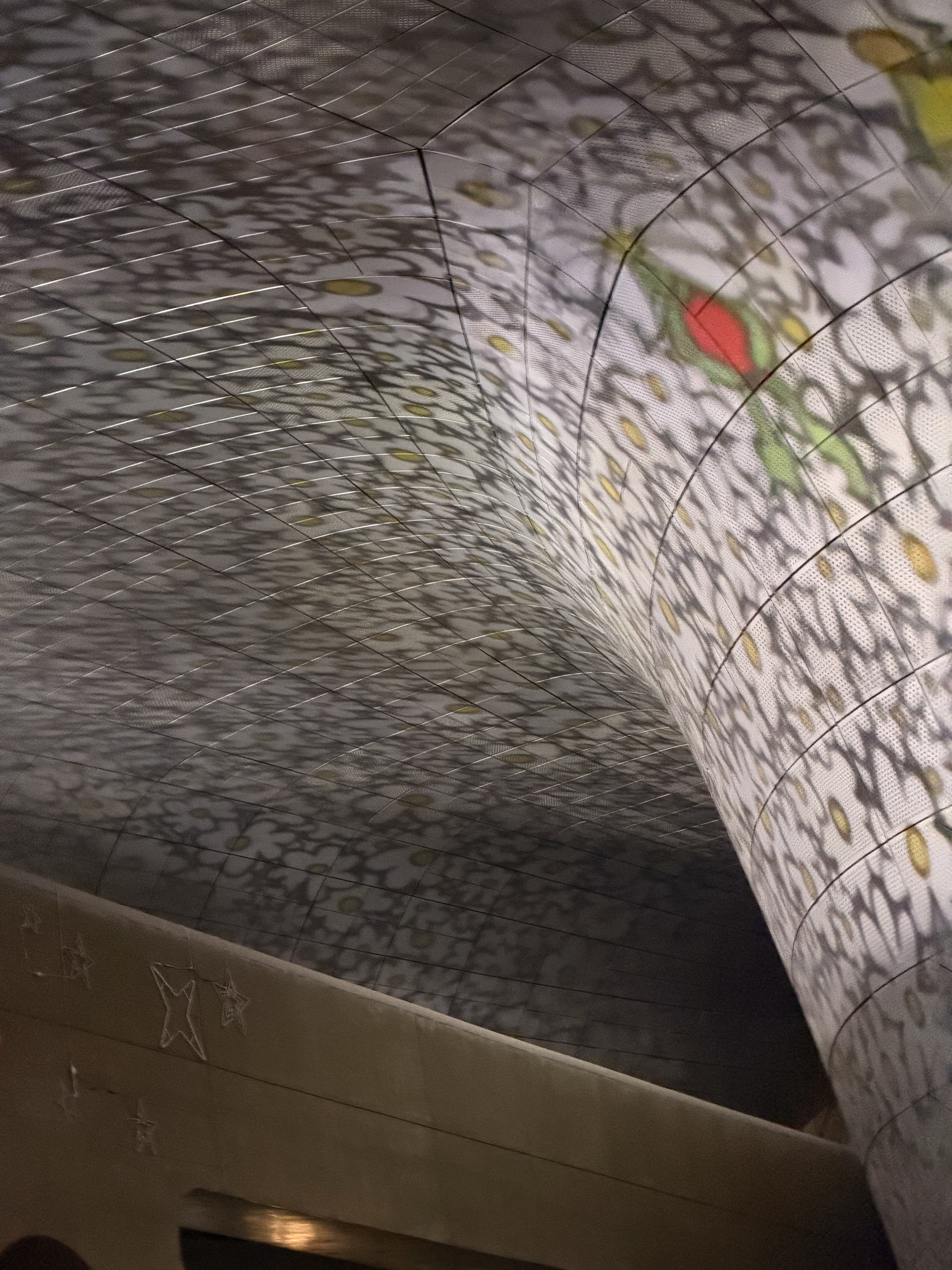 [잡담] 아이폰 17프로 카메라 짱 잘 나옴!! | 인스티즈