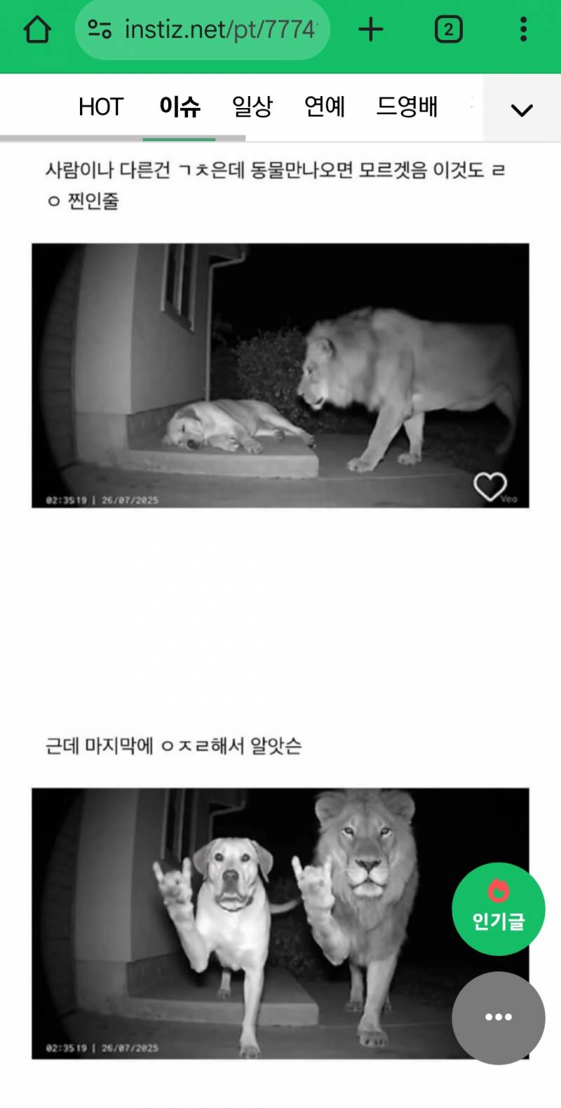 [잡담] AI 구분 영상 이건 볼때마다 웃김 | 인스티즈