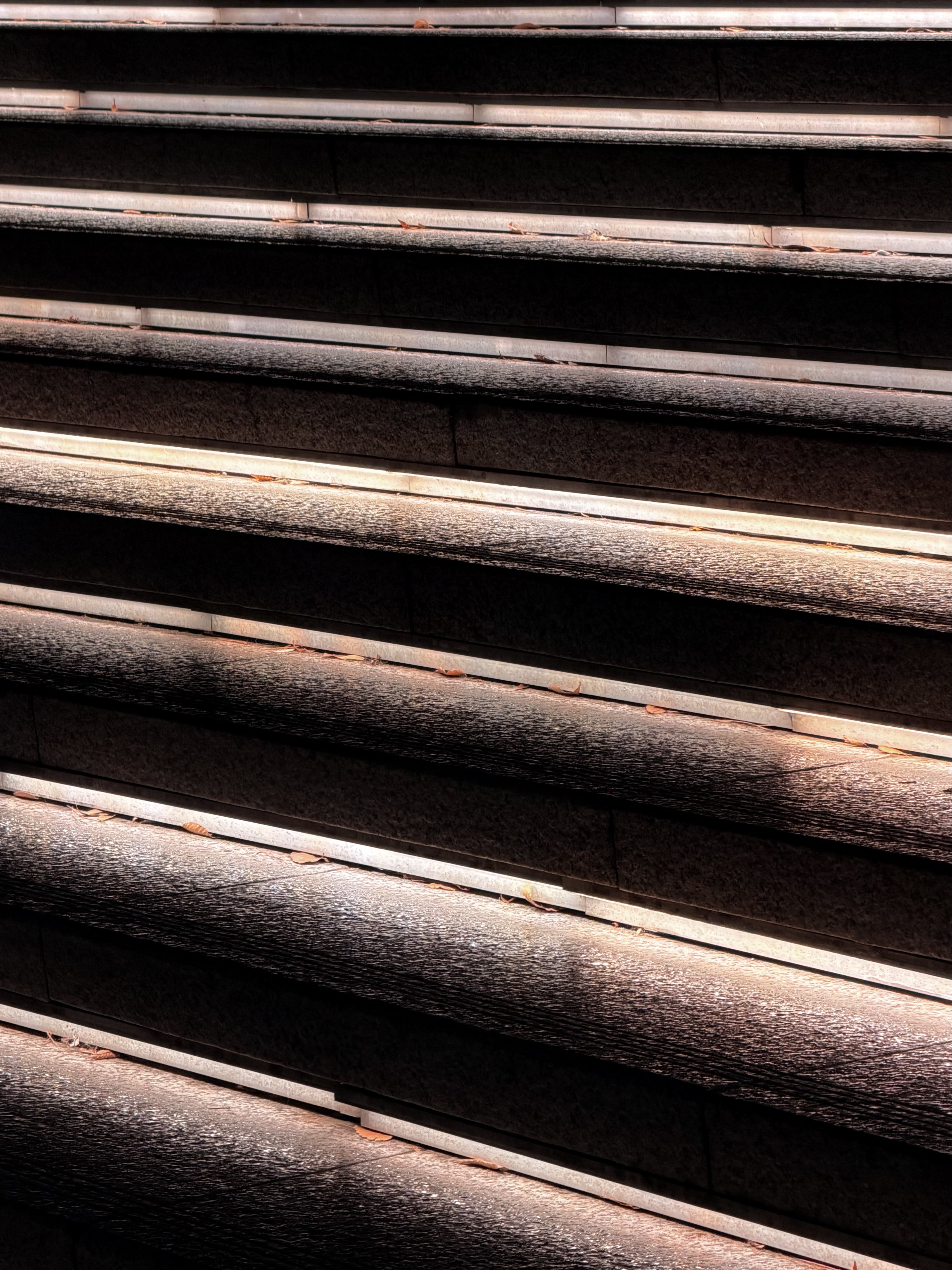 [잡담] 아이폰 17프로 카메라 짱 잘 나옴!! | 인스티즈