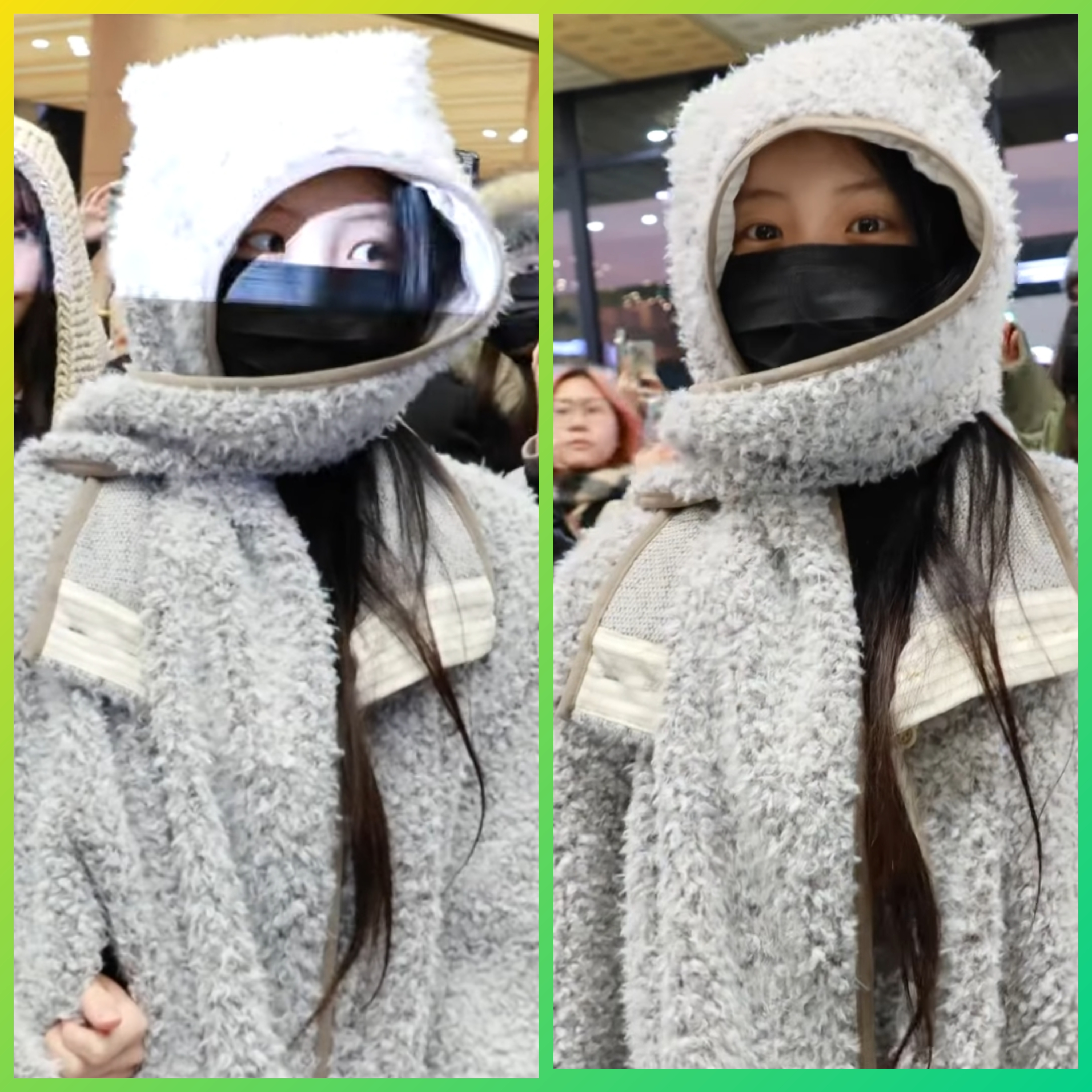 [잡담] 원희는 햄스터상인가 기니피그상인가 | 인스티즈