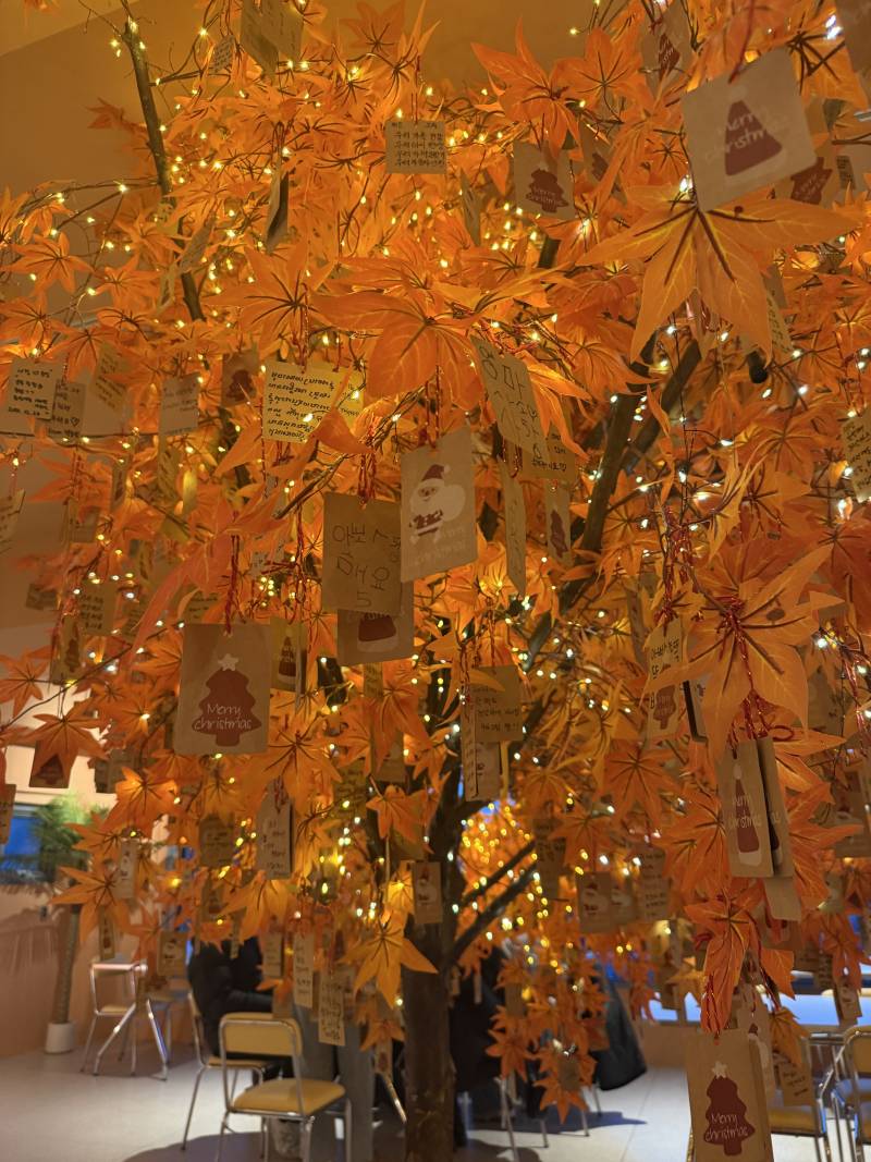 [잡담] 소원트리나무에 소원 빌었오 | 인스티즈