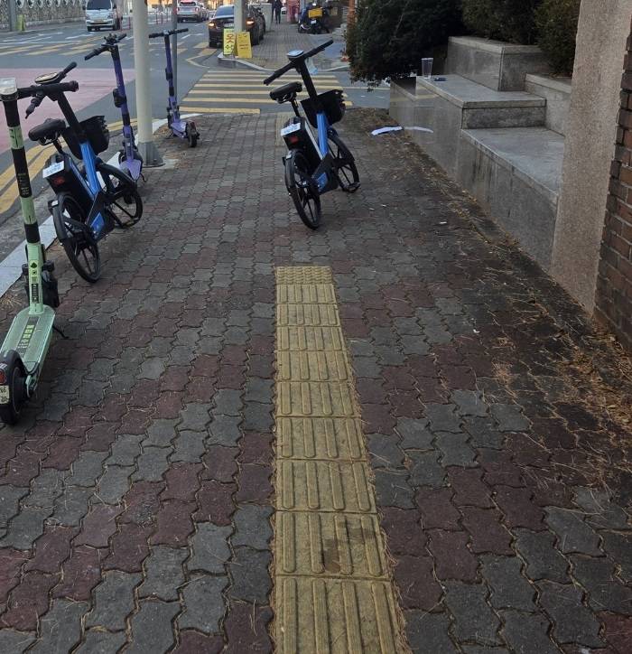 [잡담] 흡연충 킥라니 진짜 싫다 | 인스티즈