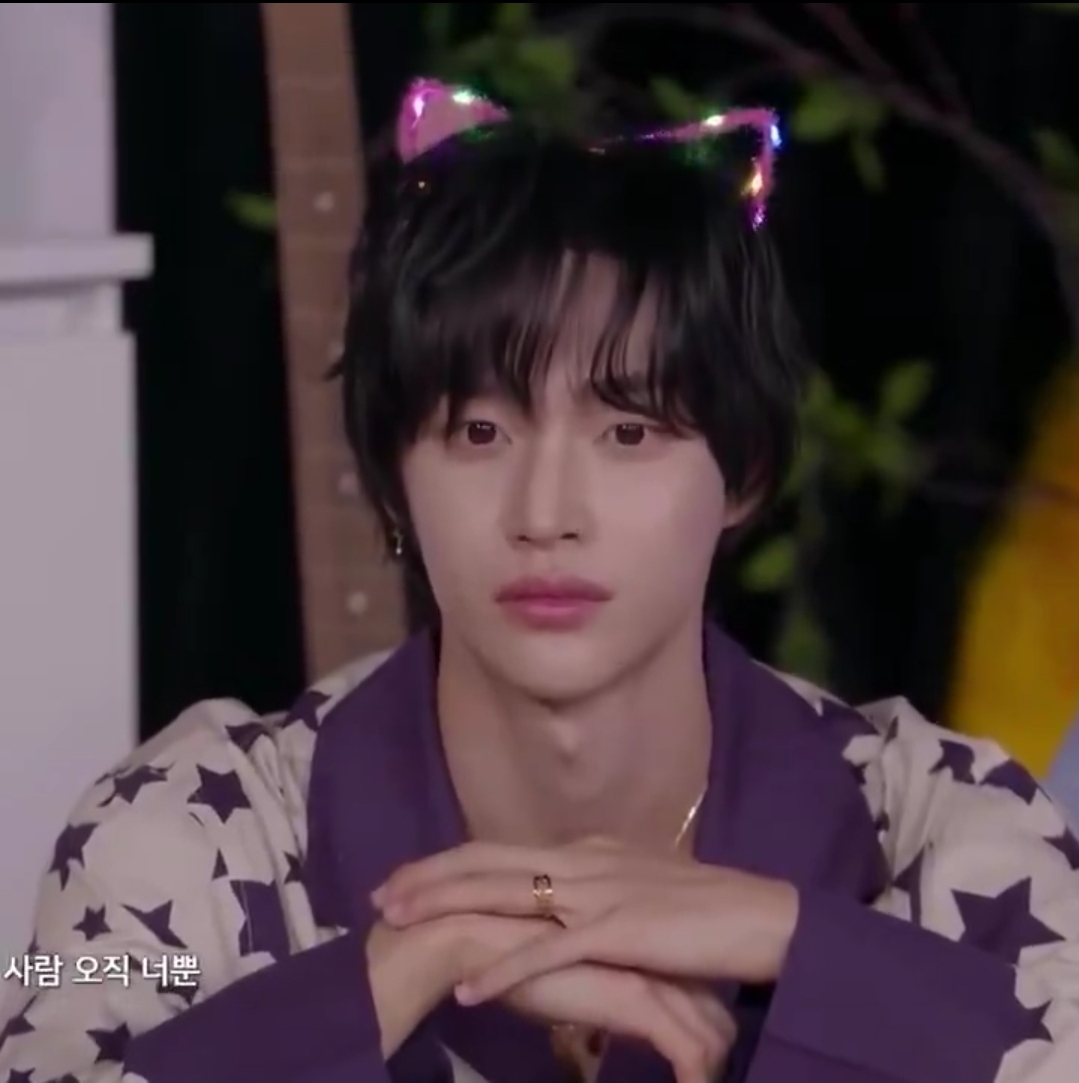 [잡담] 원빈 이목구비 뚜렷한 미남 고양이 | 인스티즈