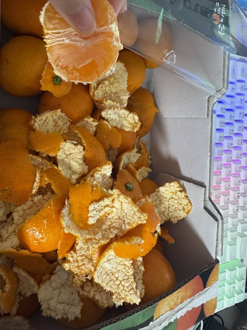 [잡담] 나 귤 많이먹는거야?? 쿠팡에서 한박스시켜서 | 인스티즈