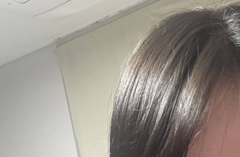 [잡담] 나 여쿨라인데 머리 자연갈색인데 안어울리는거같은데 좀봐주라 ㅠㅠㅠㅠ | 인스티즈