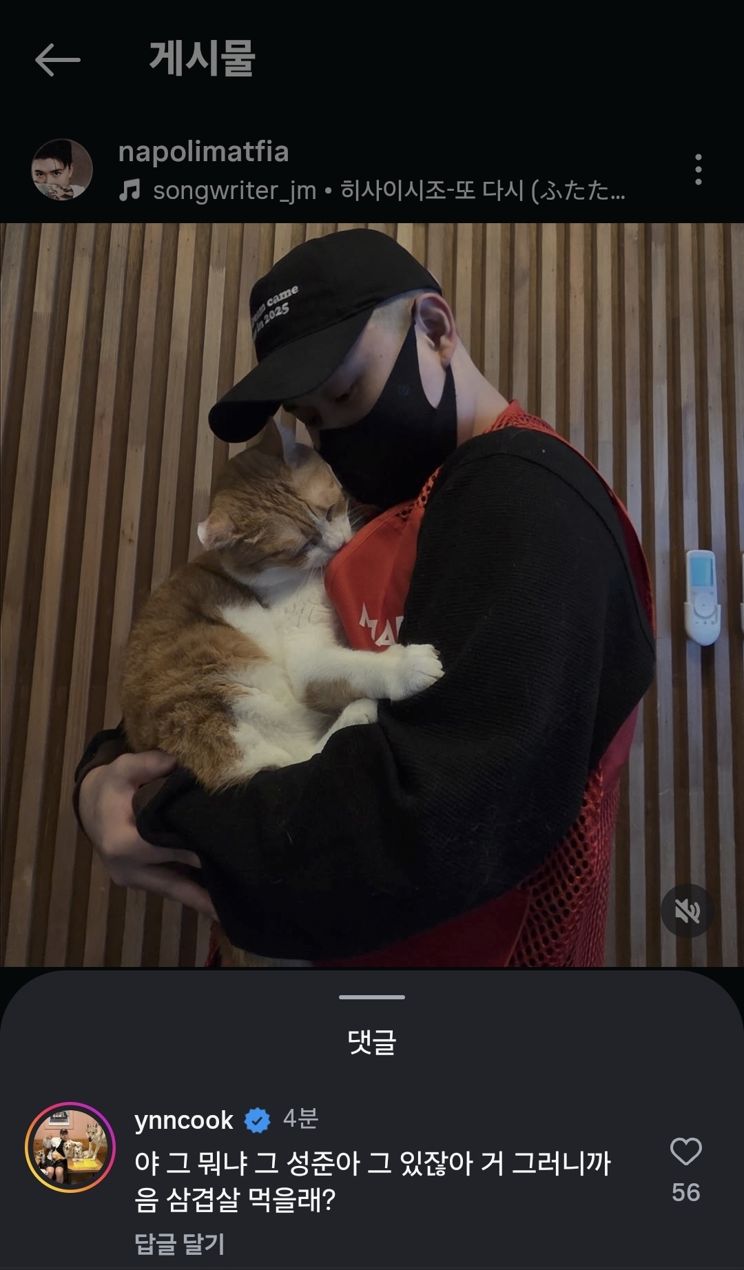 [잡담] 윤남노 손종원에서 맛피자로 타겟 변경 | 인스티즈