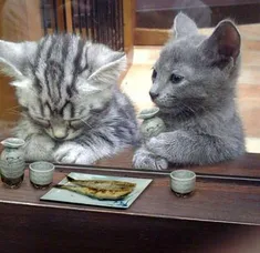 [잡담] 사친이 일에 열중하면 여자 생긴다는데 무슨 뜻이야? | 인스티즈