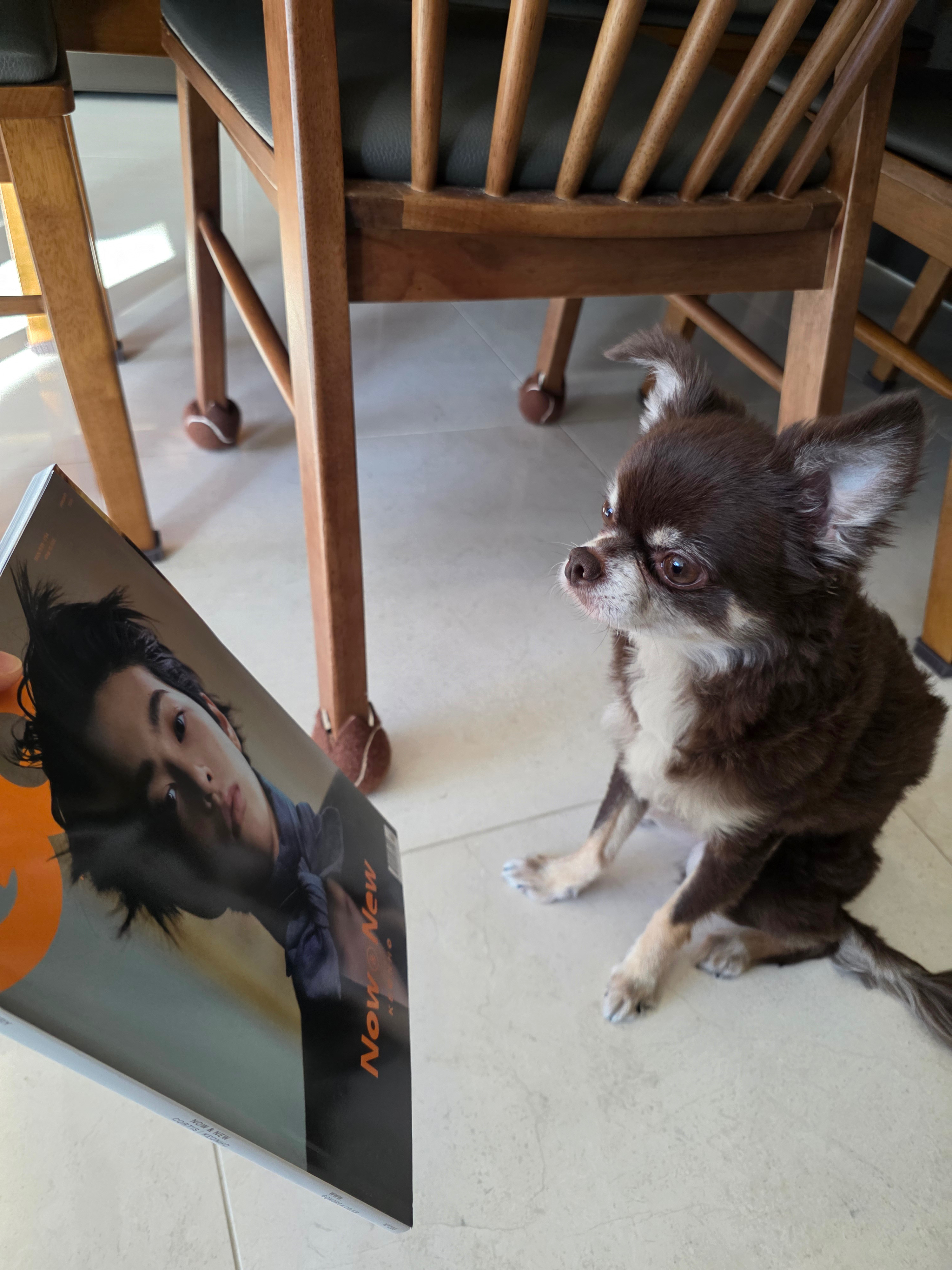 [잡담] 코르티스 건호 잡지 보는 건호네 강아지ㅋㅋ | 인스티즈