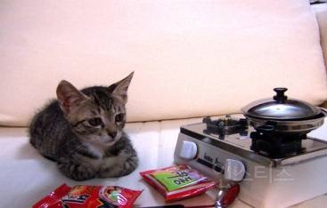 아배고파...근데왜이렇게안되는거야 | 인스티즈