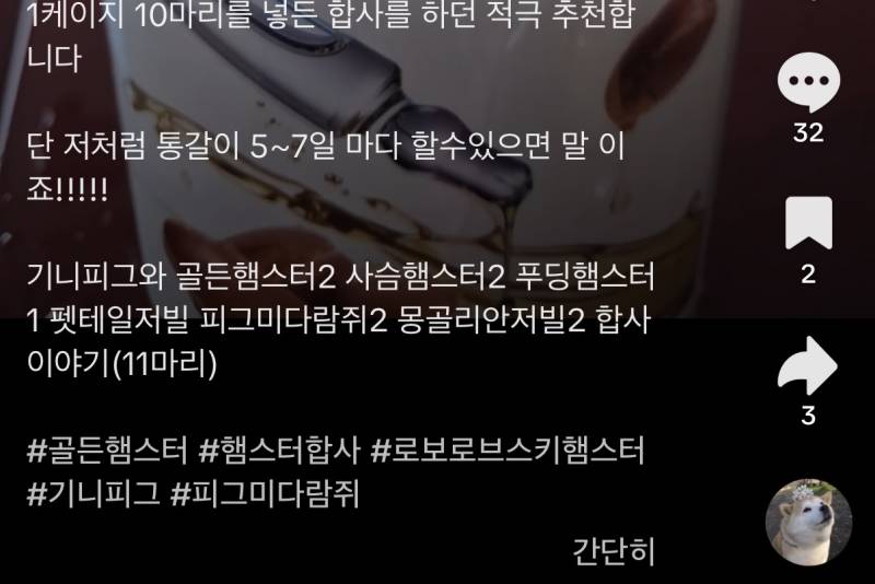 [잡담] 틱톡에 동물학대범있는데 신고가 안되네 | 인스티즈