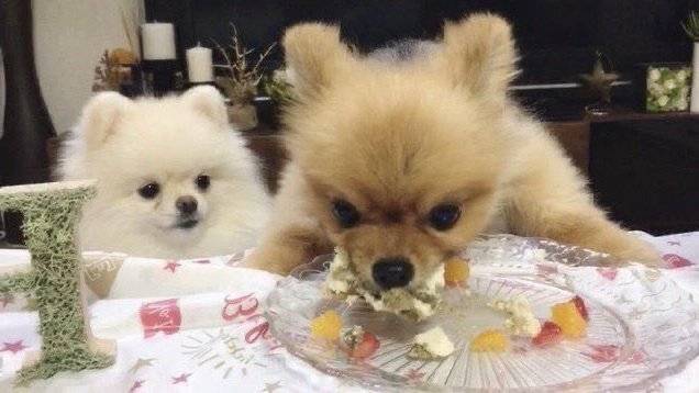 틱톡 공차기 | 인스티즈