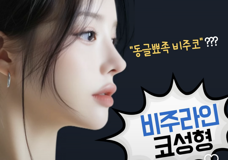 [잡담] 7~8년 전부터 이런 코 워너비였는데 | 인스티즈