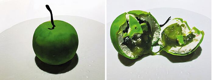 [잡담] 손종원은 진짜 미감친자인게ㅋㅋㅋ | 인스티즈