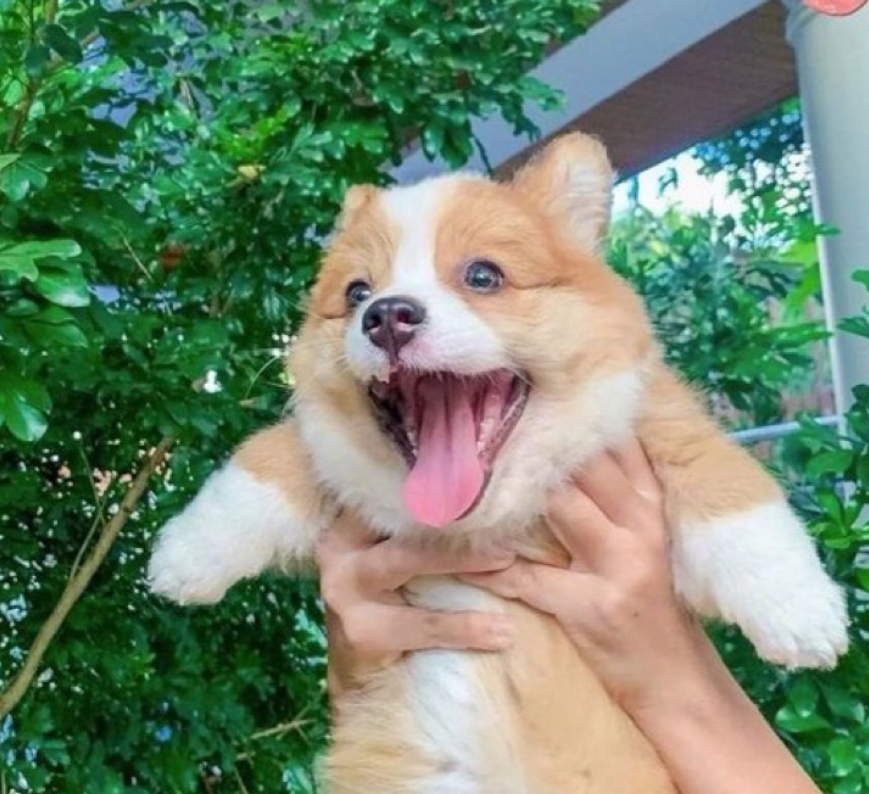 [잡담] 지금 뇌가 녹아내릴것같은 사람들 들어와봐 | 인스티즈