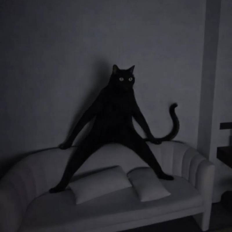 [잡담] 상쿵 베트남에서 좀비겜할때 흑고양이같아 | 인스티즈