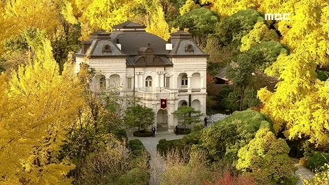 [잡담] 대군부인) 궁생각하고 봐서 기대이하라는 평이 있는데 | 인스티즈