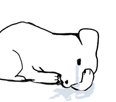 [잡담] 라이즈덕질 딱6개월차 내탐라? 덕질후기 | 인스티즈